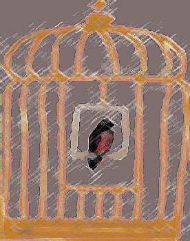 wp814da146_0f.jpg